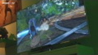 I Bet I Know Why You Will Play <em>Kinect Star Wars'</em> Dance-Off At Least Once